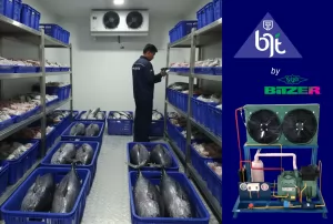 Cold Room dan Cold Storage: Solusi Efektif untuk Penyimpanan Produk Sensitif